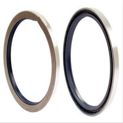 Immagine di SEAL, 50X170X18