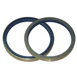 Immagine di OIL SEAL (COMBI 170X195X18)
