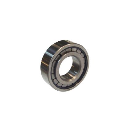Immagine di BEARING-C/W PINION ( 85033)