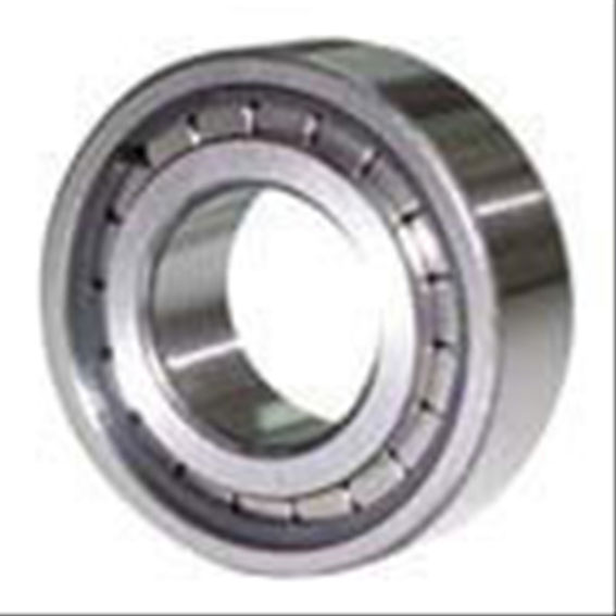 Immagine di BEARING-C/W PINION ( 85033)