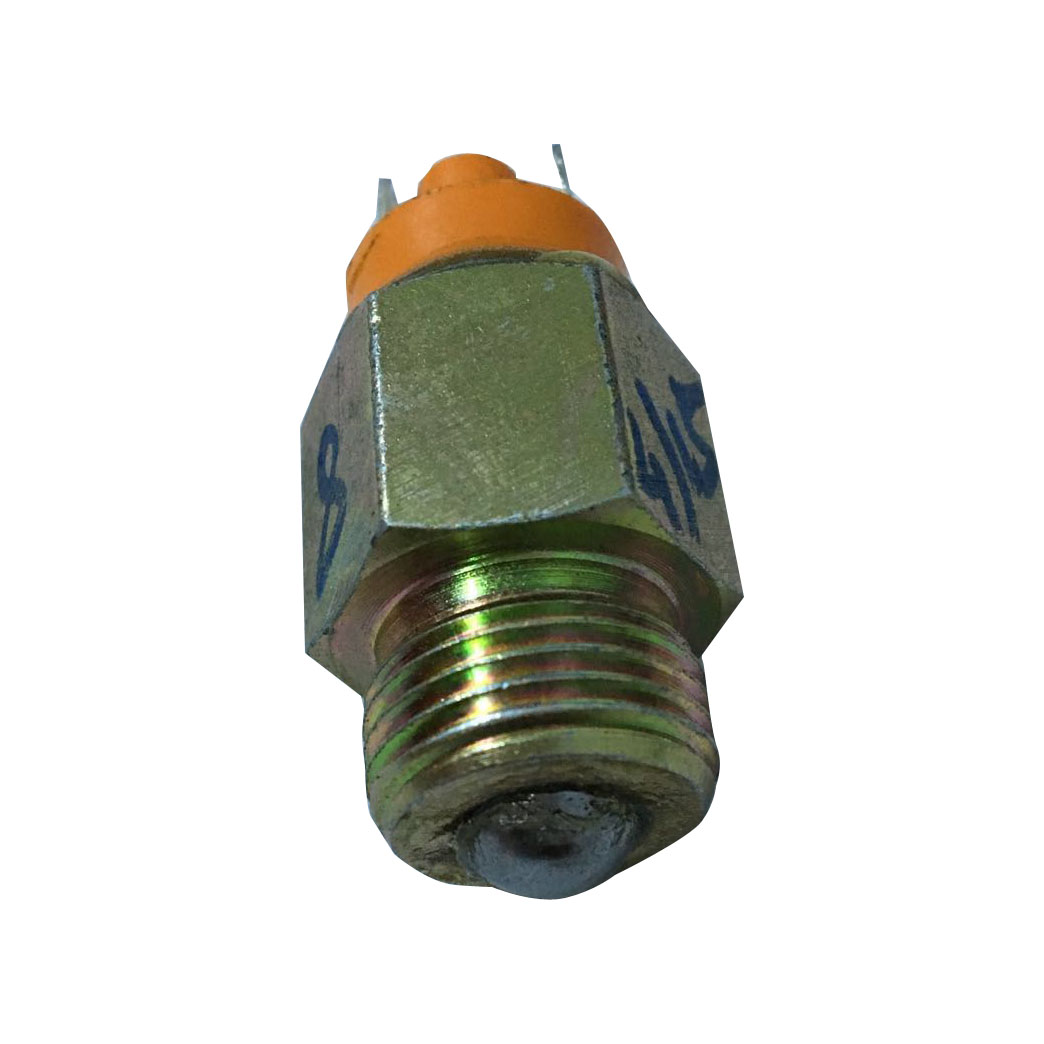 Immagine di SAFETY SWITCH (TRANS.)