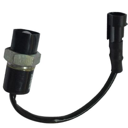 Immagine di SAFETY SWITCH (TRANS.)