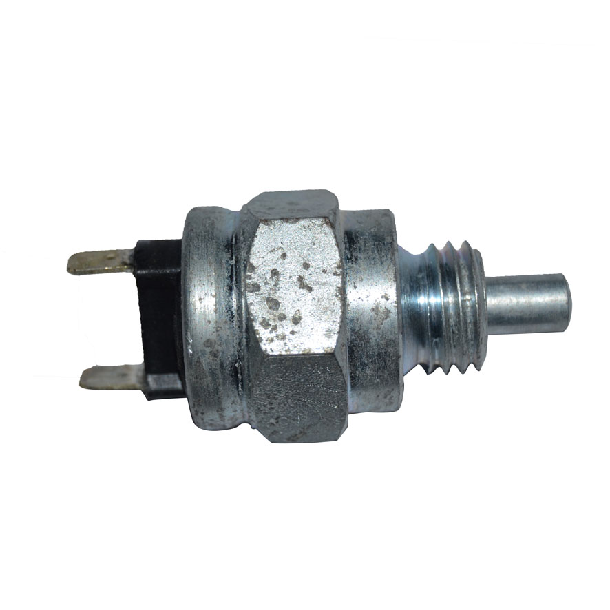 Immagine di SAFETY SWITCH (TRANS.)