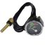 Immagine di TEMPERATURE GAUGE