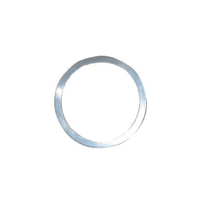 Immagine di CIRCLIP 0,1 mm